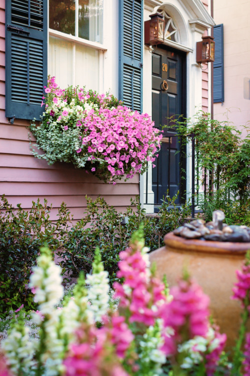 Spring Garden along Tradd Street in the Historic District, Charleston, SC© Doug Hickok   More here&h