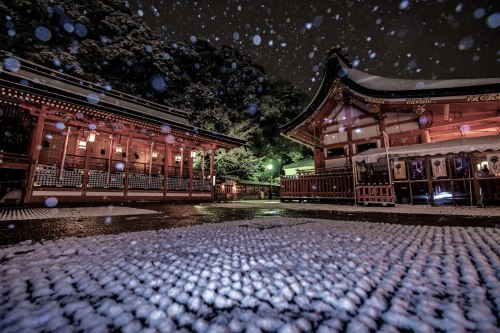 Silent snow at Fushimi Inari Taisha, serene moment captured by @v0_0v______mk
