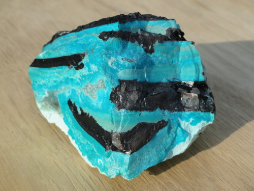 Tenorite with Chrysocolla CuO  -  04.AB.10 (Strunz)(from Sagasca Mine, Chile) Here we have a Zebra s