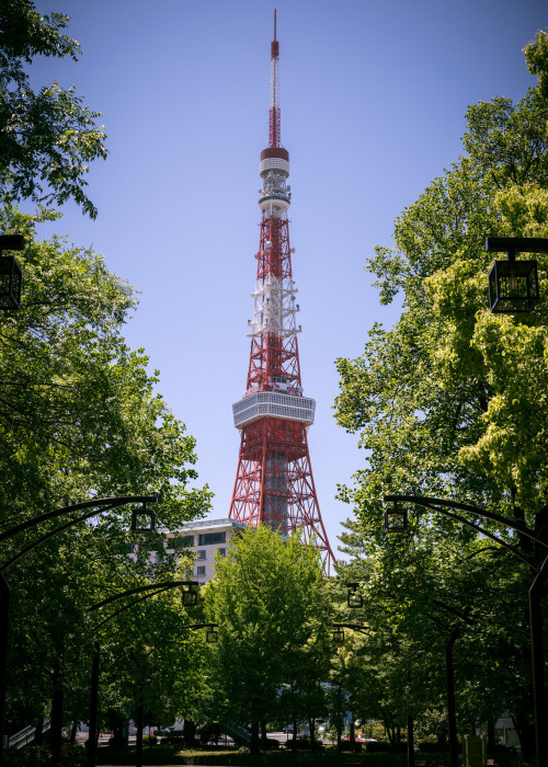 dontrblgme2:  Golden Week Tokyo Tower (via (トーマス))