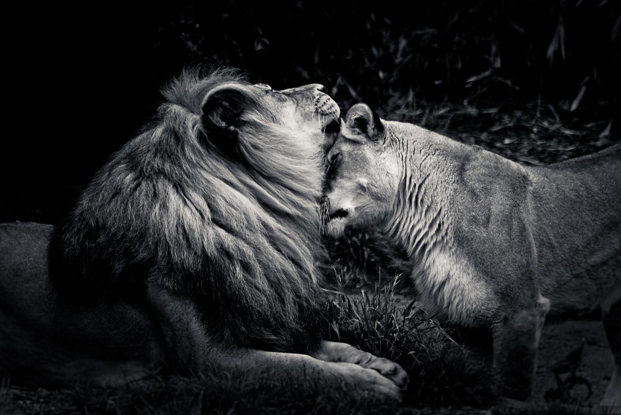 cedorsey:  True LovePhoto Credit: (Chris Esler)