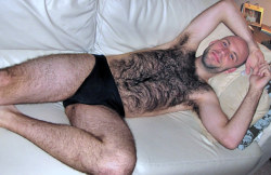 papillon52::Beautiful Hairy Chest adult photos