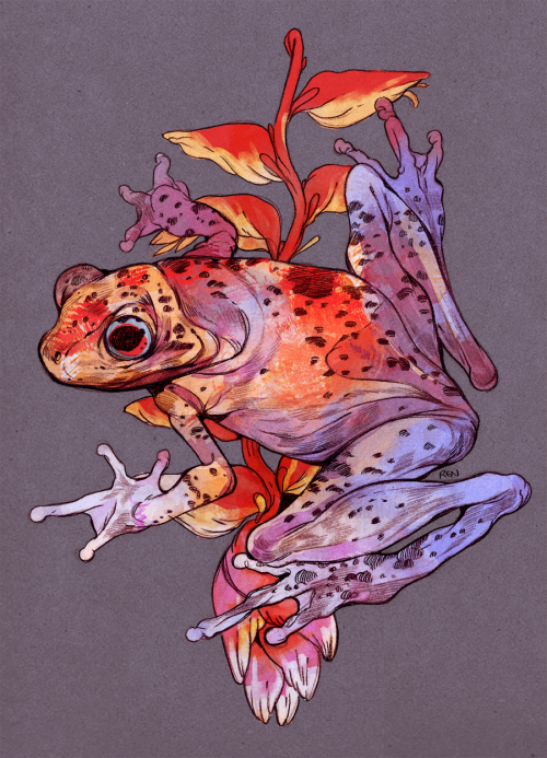 godzillabreath:  last commission of the batch for zu! this was special because they wanted a local plant and animal from the atlantic forest where they live. 