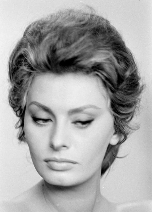 Sophia Loren