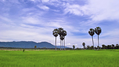 breakingbarriersofficial:  Hanoi, Vietnam. 