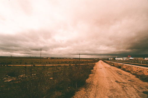 H a l f  W a i f  (spanish wild fires)35mm / Contax G1 & Voigtlander Bessaflex