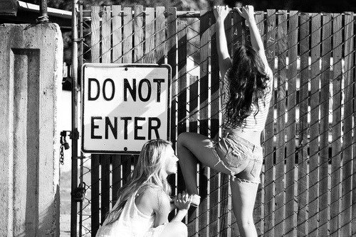 silly-luv:  ♡ find your best posts on my blog ♡