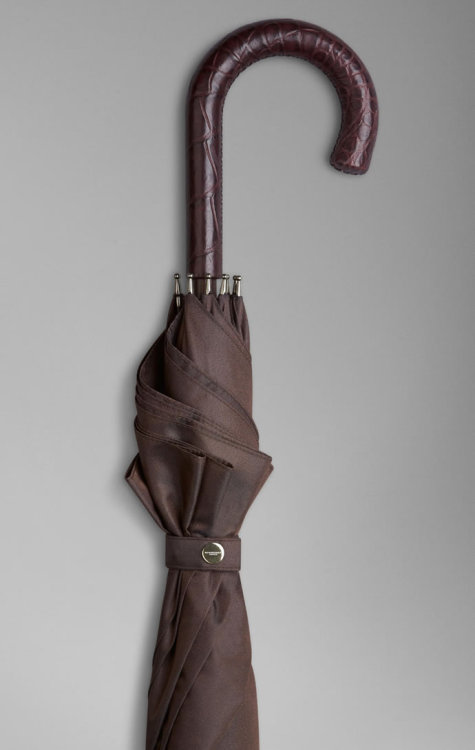 Burberry Walking Umbrella With Alligator Leather Handle… Price Tag: $1,495 -Everydayisfashion