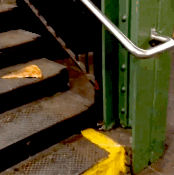 buzzfeed:buzzfeedgeeky:but pizza rat leaves the pizza behind…WE WERE ROOTING FOR YOU, PIZZA RAT. Hop