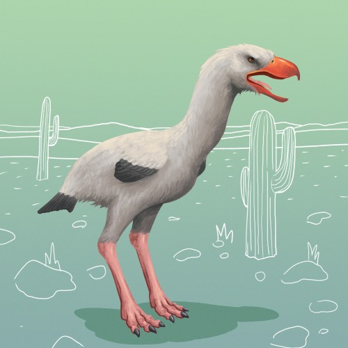 1dinodaily:4/13/22 Titanis (Terror Bird)