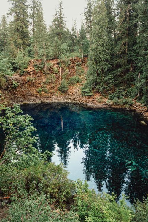 amazinglybeautifulphotography:Tamolitch Blue Pool [2661x4000] [oc] - Author: thechroniclesofgrace on Reddit