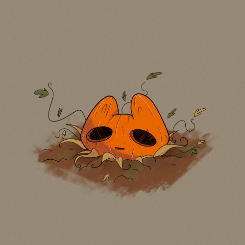 sagenarts:Pumpkat