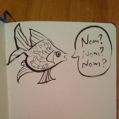 When fish are roaming around, doing that mouth-open-close thing, i like to imagine that they’re silently saying nom nom nom nom nom. Then i silently giggle.