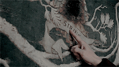 thominho:  hp meme: [3/9] characterssirius black: we’ve all got both light and