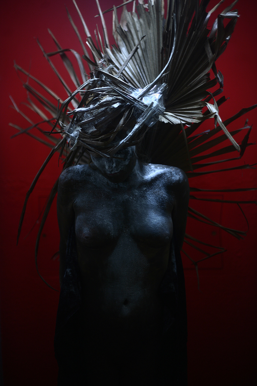 ..by ~KimberleyCamilleri