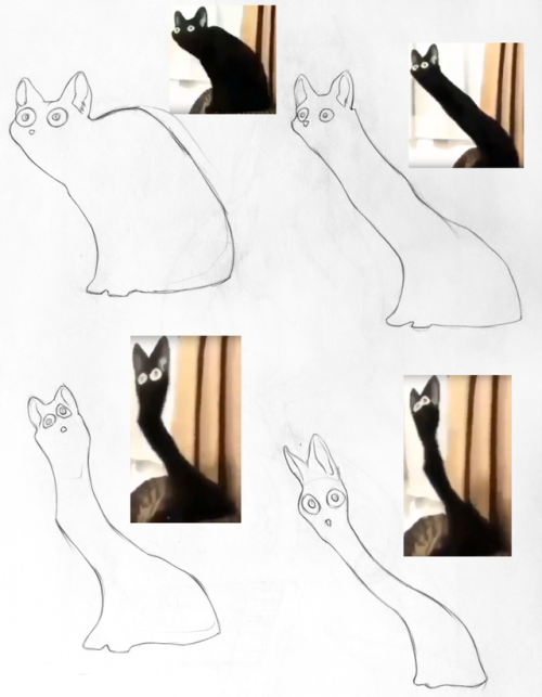 traditionallyfandomed:Some VERY important cat studies