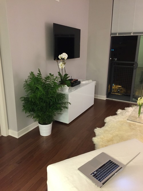 raincitykittyy:  dreamybrowngirl:  exoticsb:  sugargoals:  exoticsb:  Whew finally just about done with the large pieces. I am worn out. Had a guy come over to finish hiding the cables behind the wall for the TVs. I just am missing a few small things