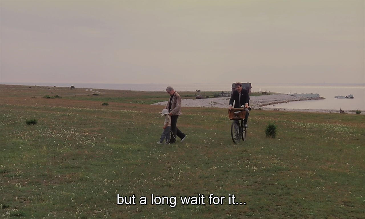 timotaychalamet: The Sacrifice (1986) dir. Andrei Tarkovsky