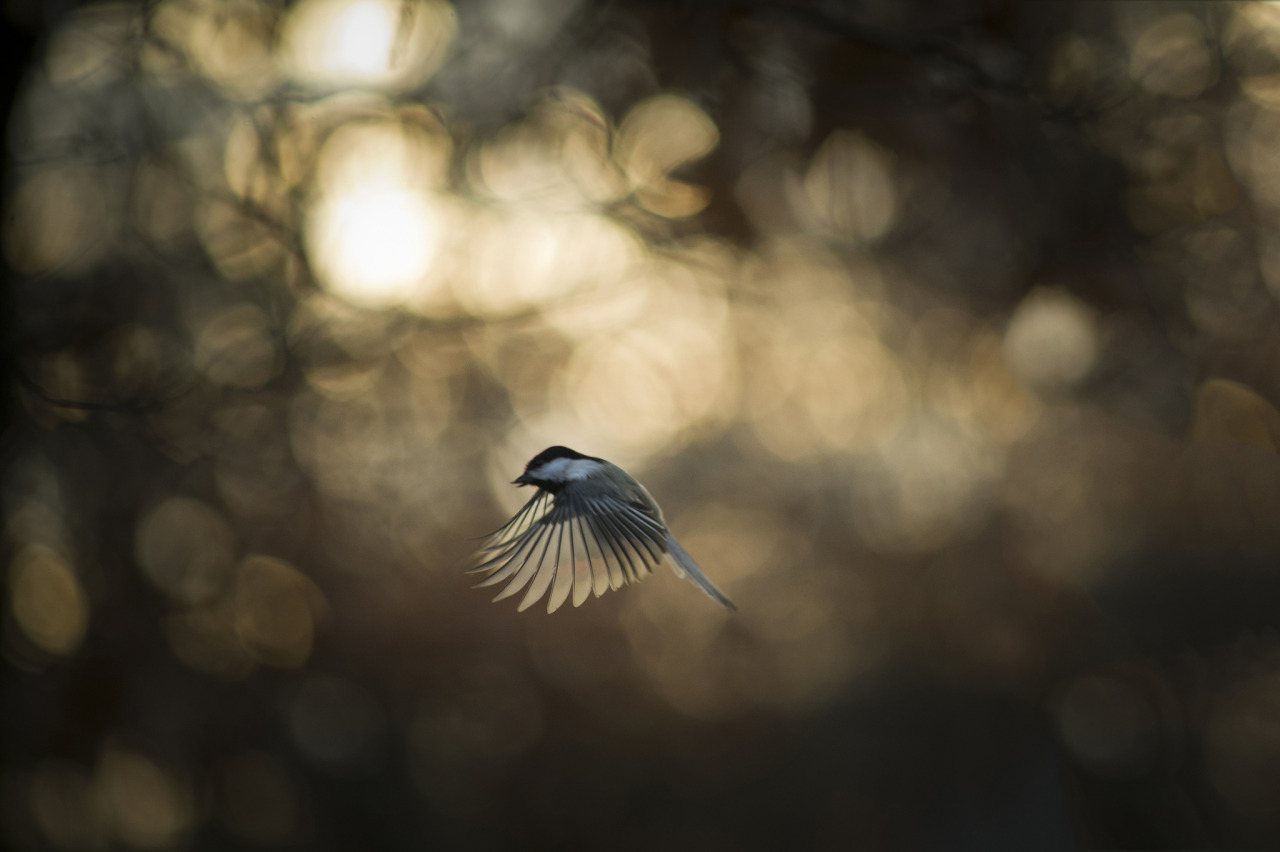 last-best-place:   	Untitled by Brooke Pennington     