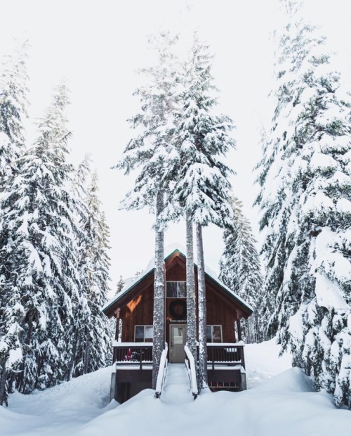 cabin-porn: @masonprendergast (ig)