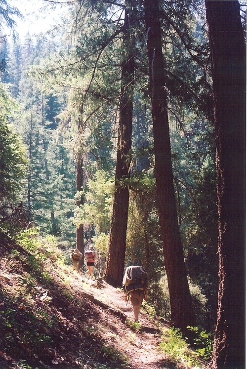 peaceintheforest:nirvanic-dreamer:⁎⋆☾☥•｡.:☀☼☀:.｡•☥☽⋆⁎peace in the forest