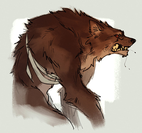 theminttu:if Auer was a werewolf, she would also be missing a tooth in her beast form, which is ador