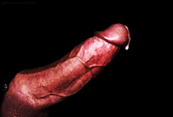 cockworshipchurchxxx:  http://cockworshipchurchxxx.tumblr.com/archive 