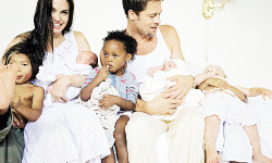 wexler:  The Jolie-Pitts for People Magazine,