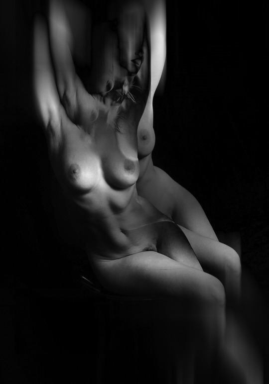 oneinchlunch:Carlotta Champagne - oneinchlunchedit