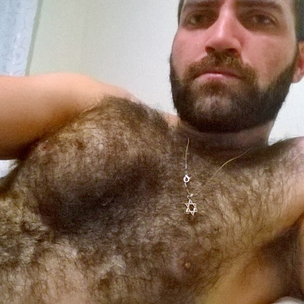 Cubs & Bears