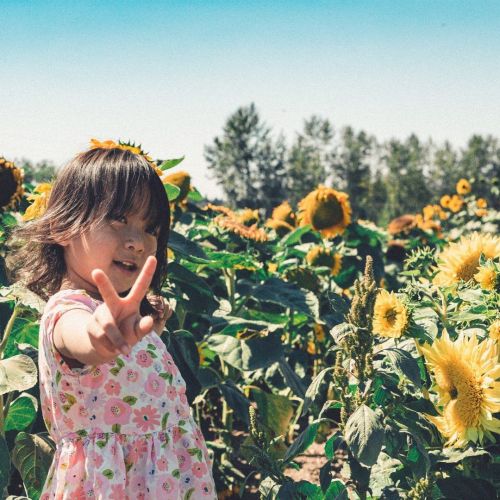 It’s a #tbt and a peace to the work week. One day closer to the weekend!! #sunflower #livewashington