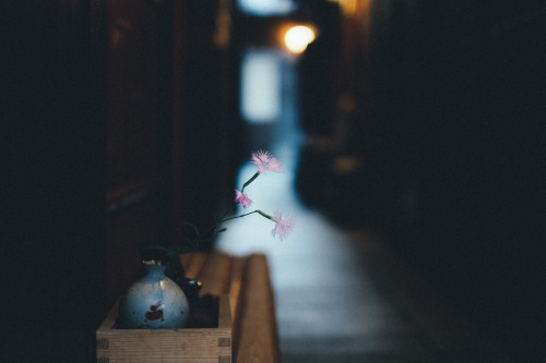 takashiyasui:Pontocho vibes -先斗町-