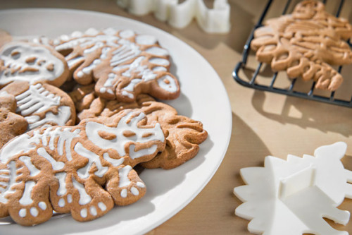 I'll Only Marry Someone Who Will Feed Me Things Shaped Like Dinosaurs. :v