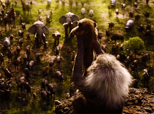 brianelarson:The Lion King (2019)