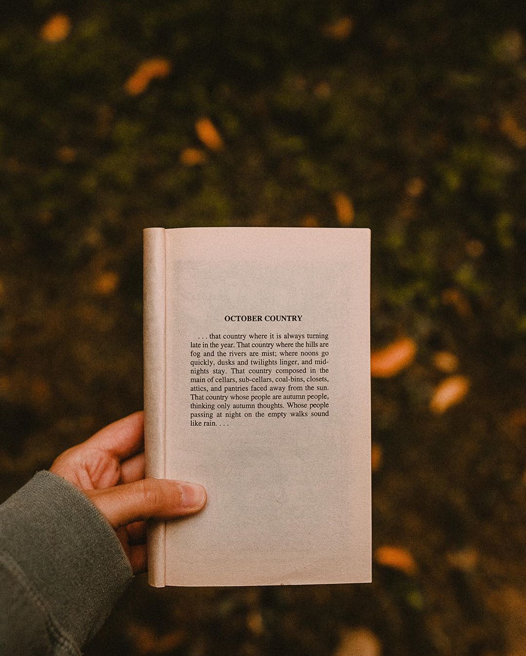 images Dark Academia Poems libraries books dark academia poetry
