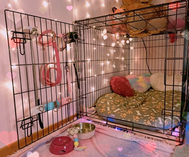 dumbpuppygirl:my cage is so cute ✨