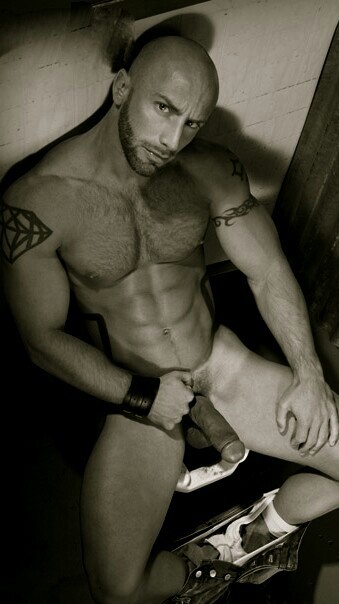 Exceptionally handsome, sexy, muscled, and one awesome package - WOOF
