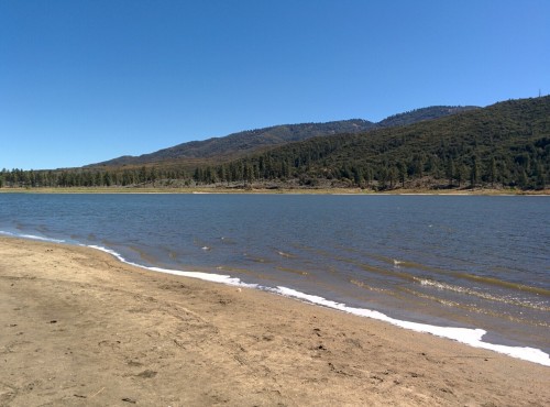 From my visit to Lake Hemet where I also saw a bald eagle. This is about as American as it gets.