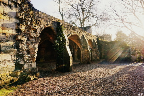 Shining Down, York.