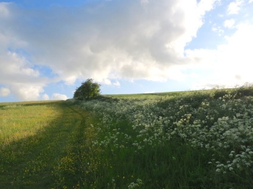 geopsych:Walking up Waden Hill from West Kennet Avenue, looking back behind you from Waden Hill, and