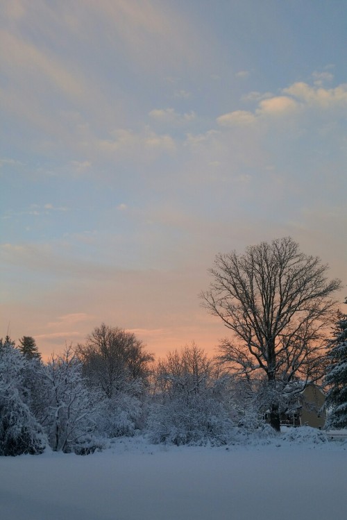 thexfiles:  i love the post-blizzard golden hour   💦