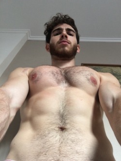 sjcollegeboi:  that’s right, look up, bud, I’m your alpha…