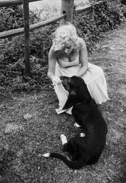  Marilyn Monroe with her dog Hugo in the garden of her home in Amagansett, New York, 1957. Photo by 