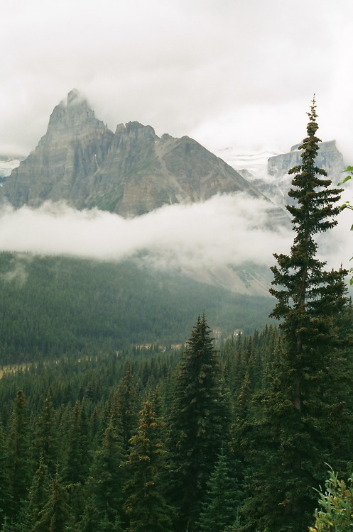 words-of-emotion:   
