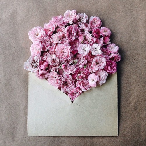 ladyinterior: Vibrant Flowers Delicately Complement Naturally-Toned Vintage Paper Envelopes, An