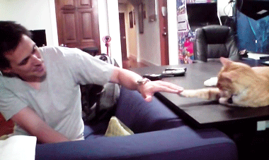 strudelwoodo:  Joel and Joe the Cat [x] 