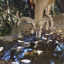 deerscented