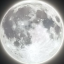 moonflowerxy