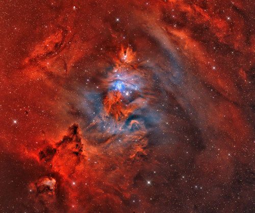 childrenofthisplanet: Pictured is a star forming region cataloged as NGC 2264, the complex jumble of