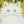 eliteknightcats:eliteknightcats:does anyone else remember grass. the warmth of the